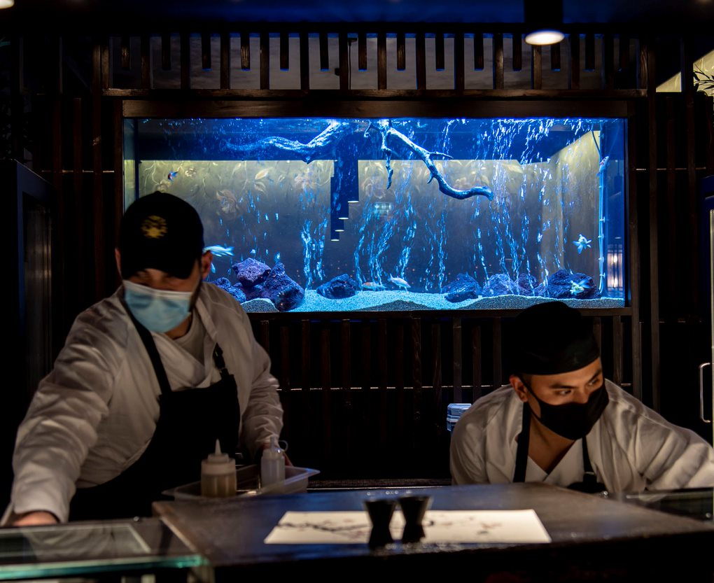Japanese Koi Aquarium in a Sushi Restaurant Custom Aquariums My