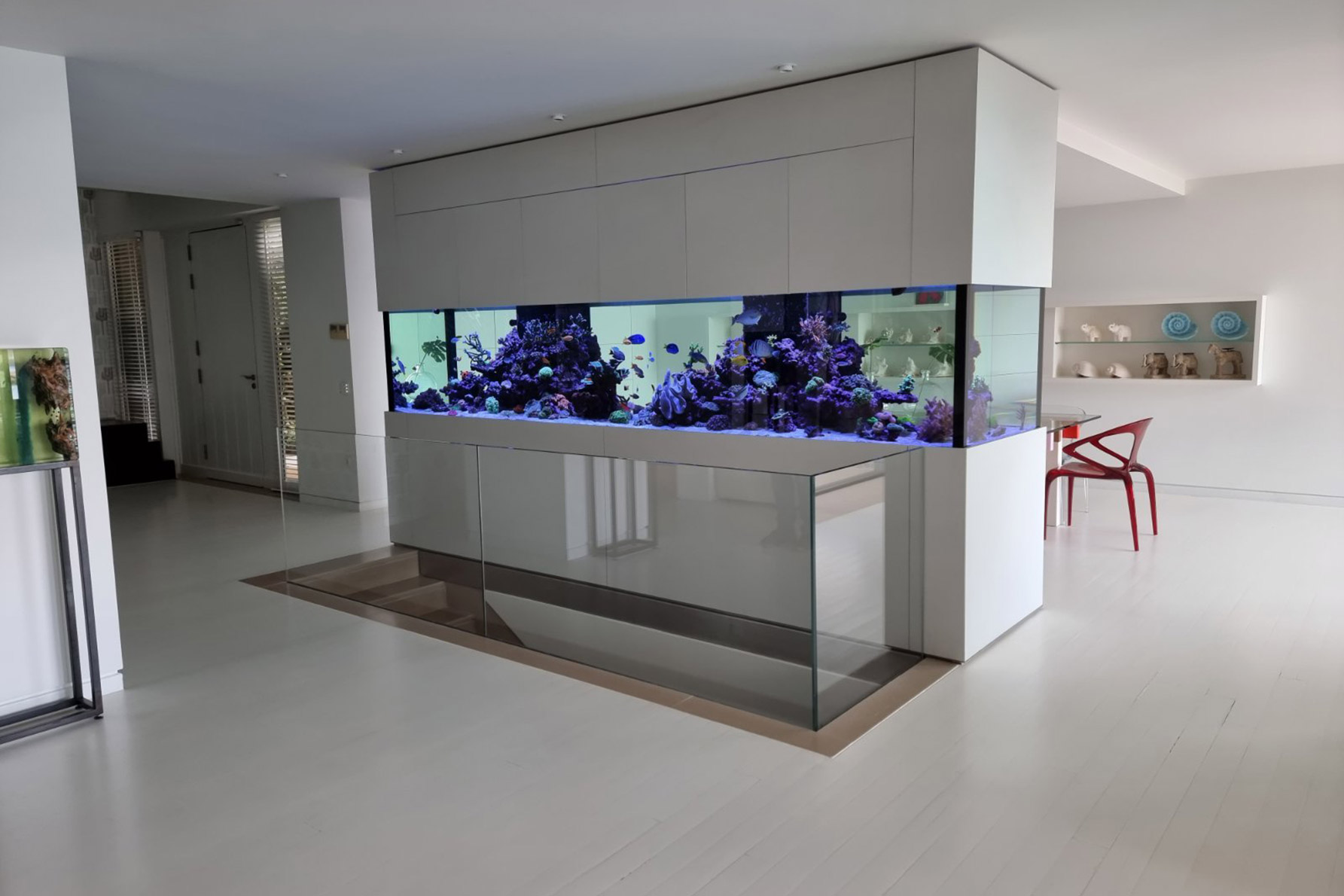 Reef Aquarium in a Private Residence
