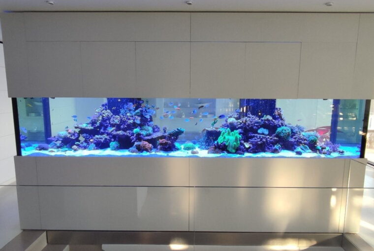 enydreio-reef-se-idiotiki-oikia3