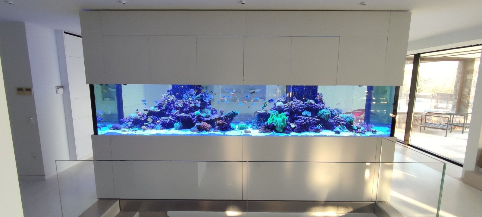 Curated visual reference: Private Residence Aquarium Management And Consulting Reference: Reef Aquarium In A Private Residence Custom Aquariums