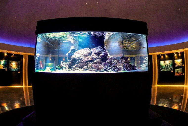 idryma-evgenidou-planitario4