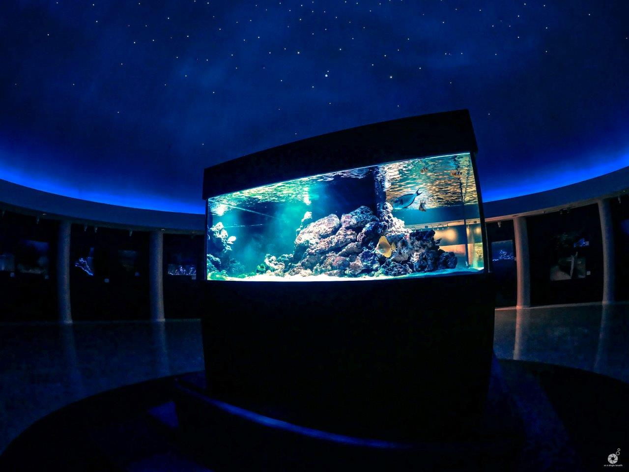 Eugenides Foundation - Planetarium - Custom Aquariums - My Aquarium