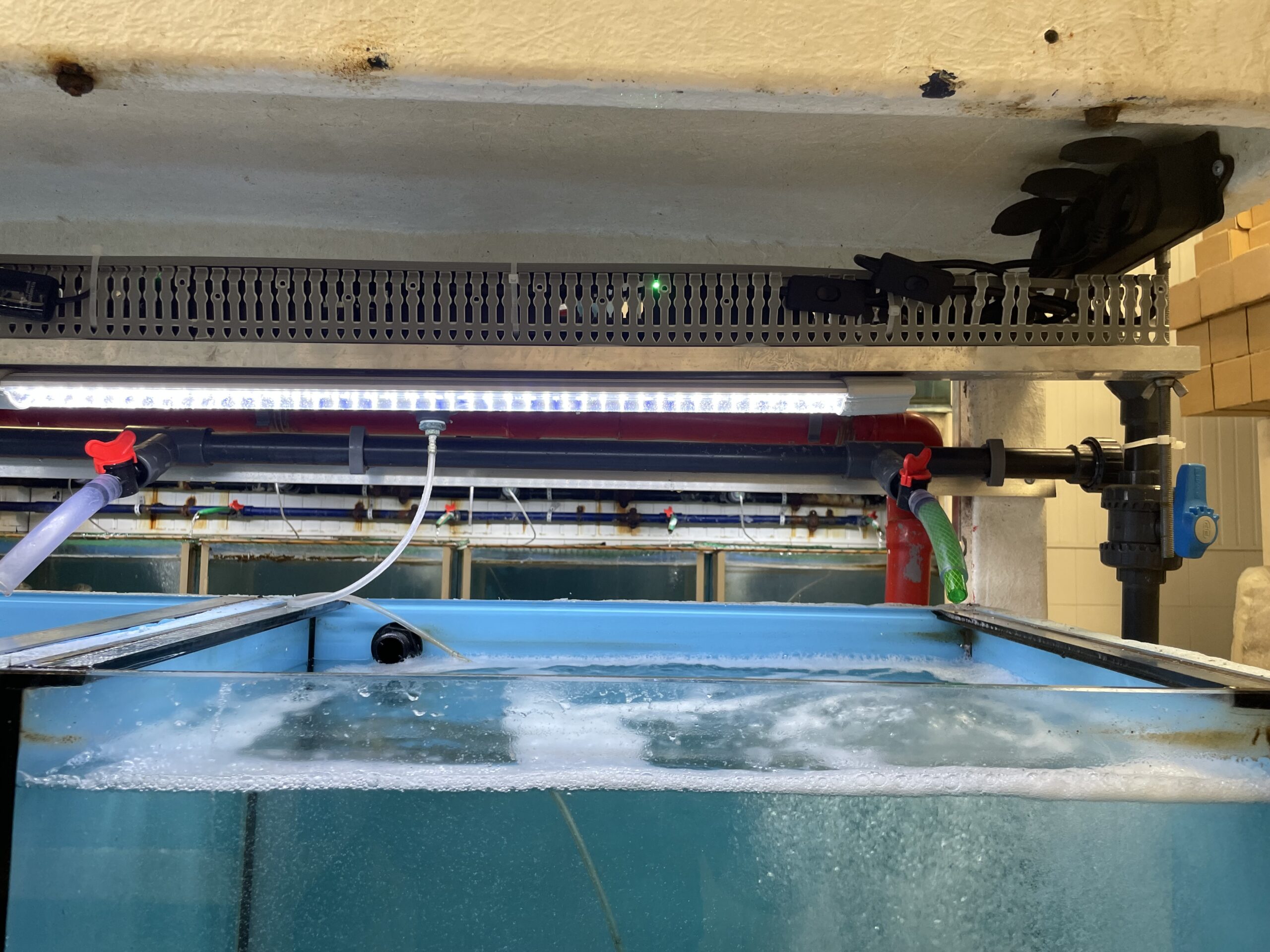 My Aquarium - Αρχική Σελίδα Σύστημα Πειραματικών Δεξαμενών